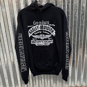 Harley Davidson Men’s Back Hoodie